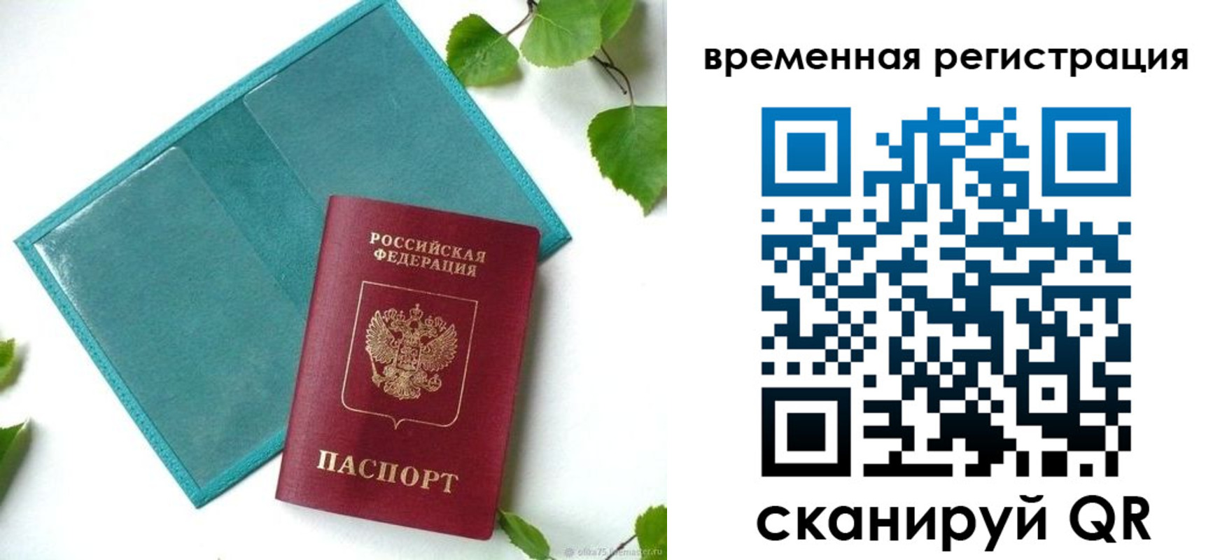 прописка иностранных граждан в Купино